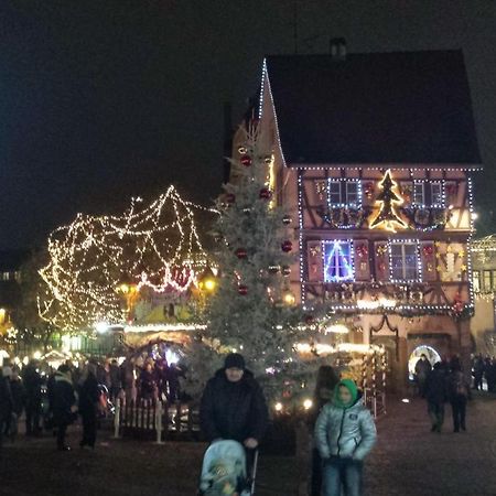 Maison De Vacances Avec Piscine, Proche Strasbourg Et Europa Park Санд Экстерьер фото
